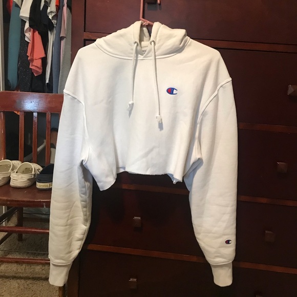 Champion cropped hoodie